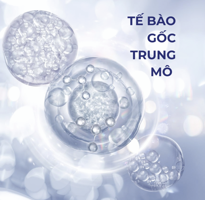 Trang chủ 20 Anh man hinh 2025 08 01 luc 13.32.10