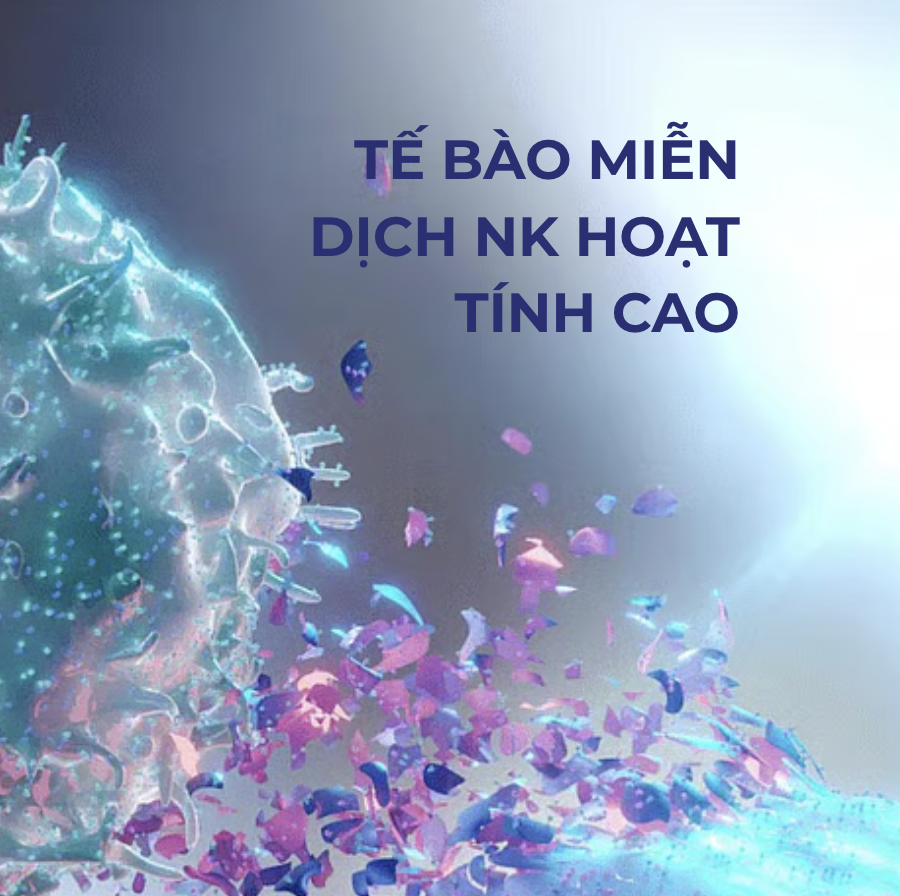 Trang chủ 21 Anh man hinh 2025 08 01 luc 13.33.37